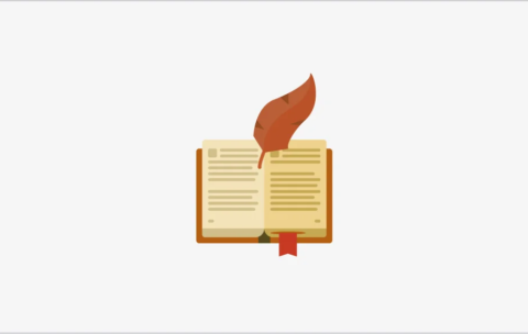 image-6a8876125ac2a.png